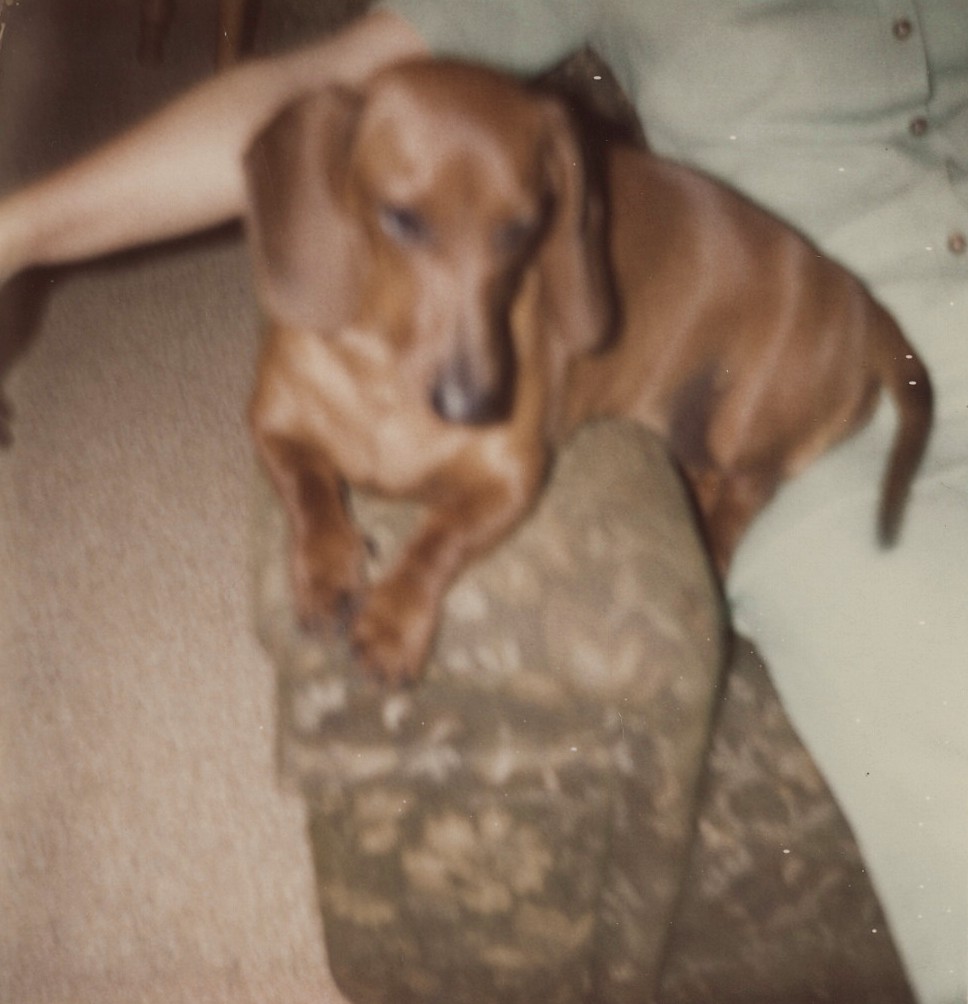 Click to View